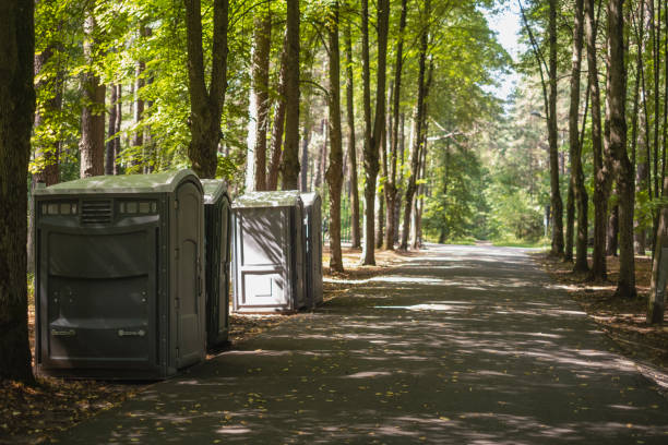 Best Sanitation services for porta potties  in Willow Grove, TX